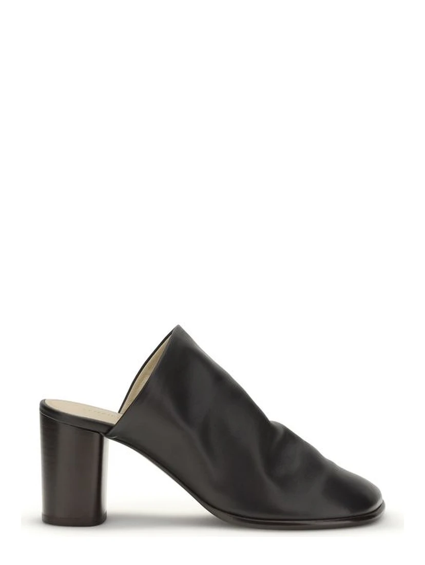 Black Lamb Ovis Aries Aries Mules