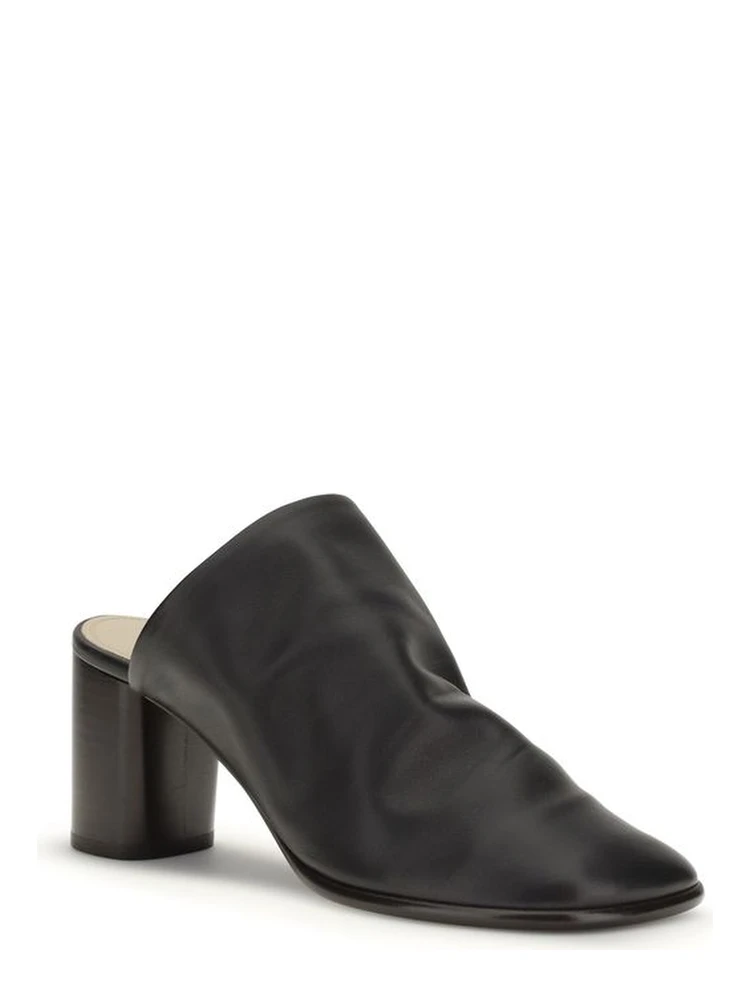 Black Lamb Ovis Aries Aries Mules alternative