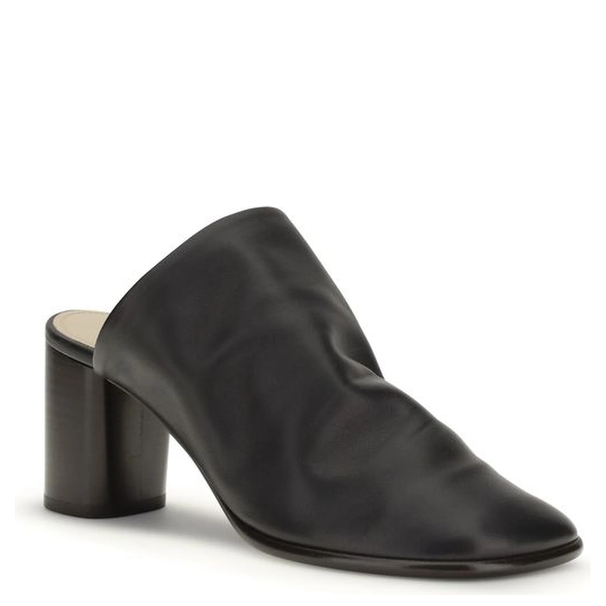 Black Lamb Ovis Aries Aries Mules