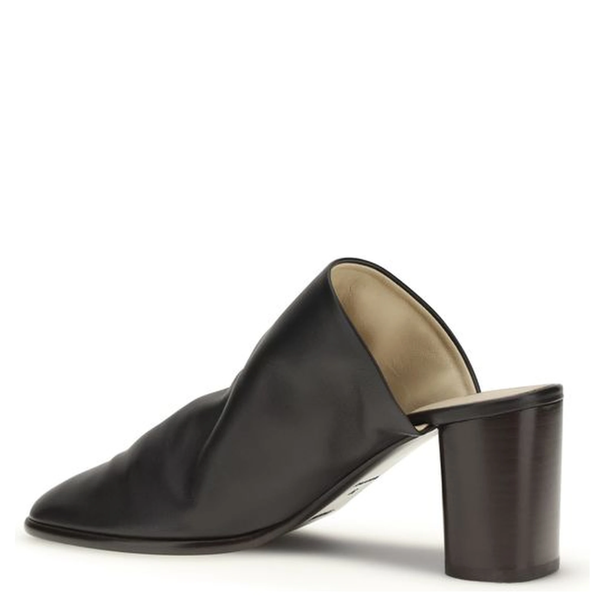 Black Lamb Ovis Aries Aries Mules