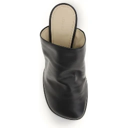 Black Lamb Ovis Aries Aries Mules