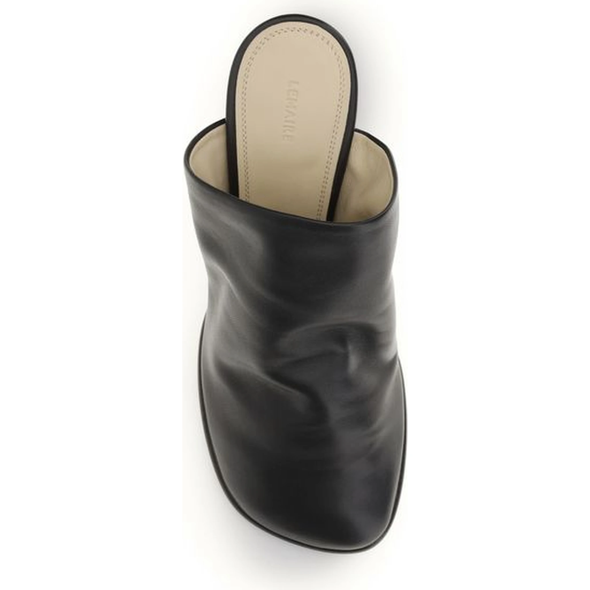 Black Lamb Ovis Aries Aries Mules