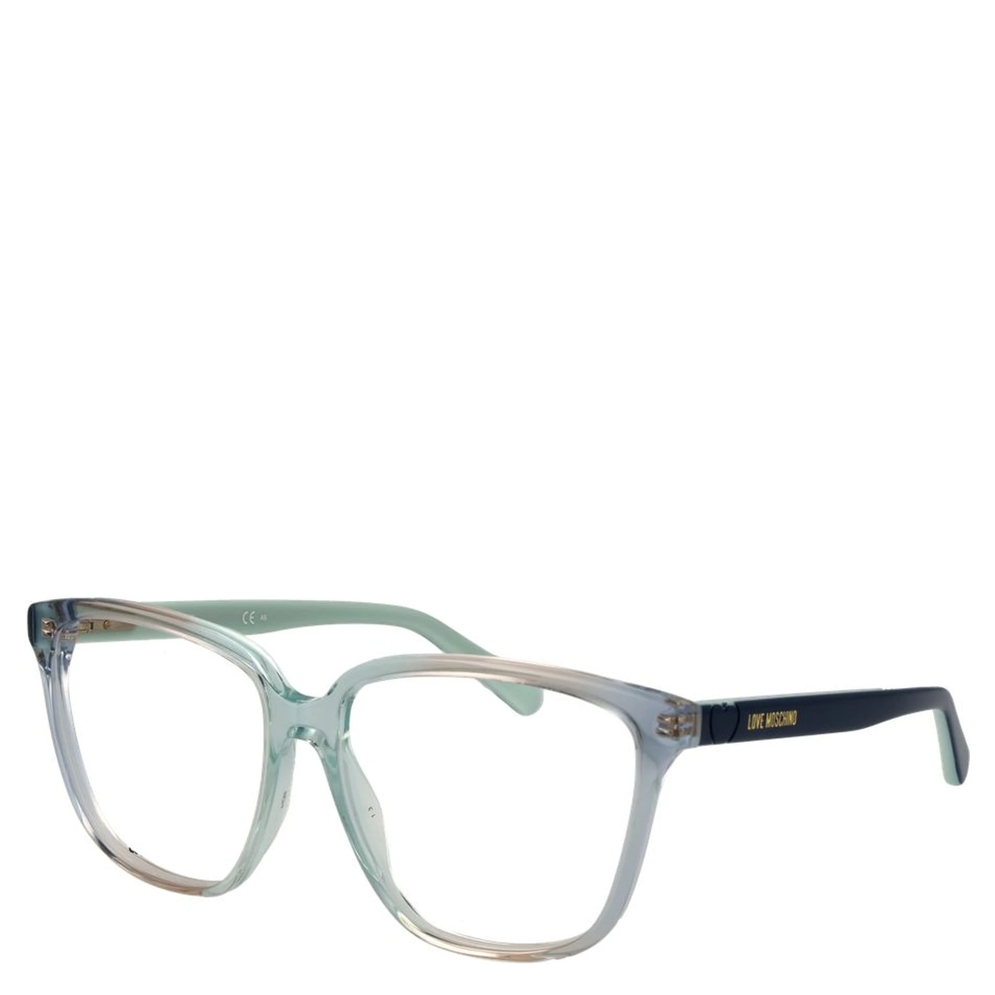 Blue Plastic Glasses (Frames)