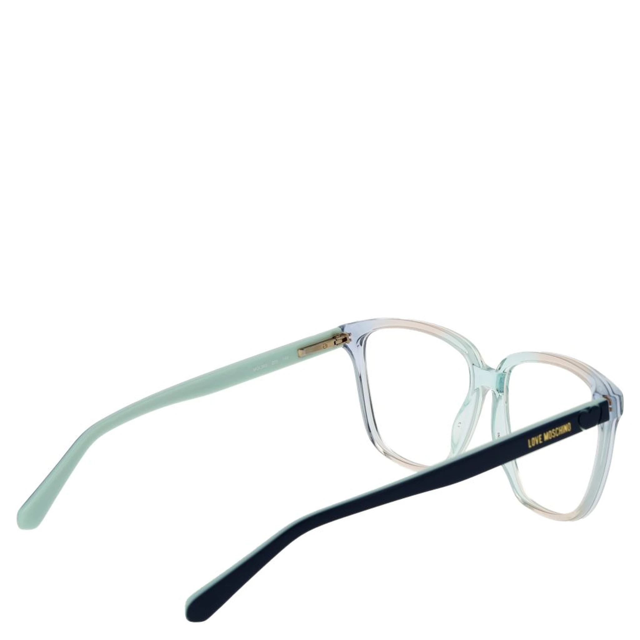 Blue Plastic Glasses (Frames)