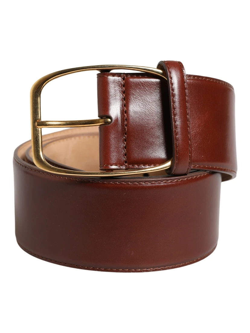 Brown Leather Waist Gold Metal Buckle Belt