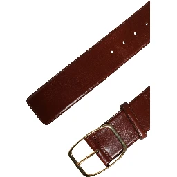Brown Leather Waist Gold Metal Buckle Belt