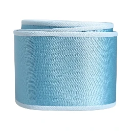 Light Blue Silk Satin Waist Women Cintura Belt