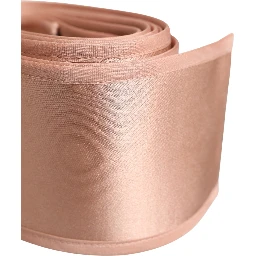Light Pink Silk Satin Waist Women Cintura Belt