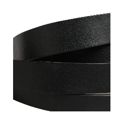 Black Double Strap Leather Silver Buckle Belt