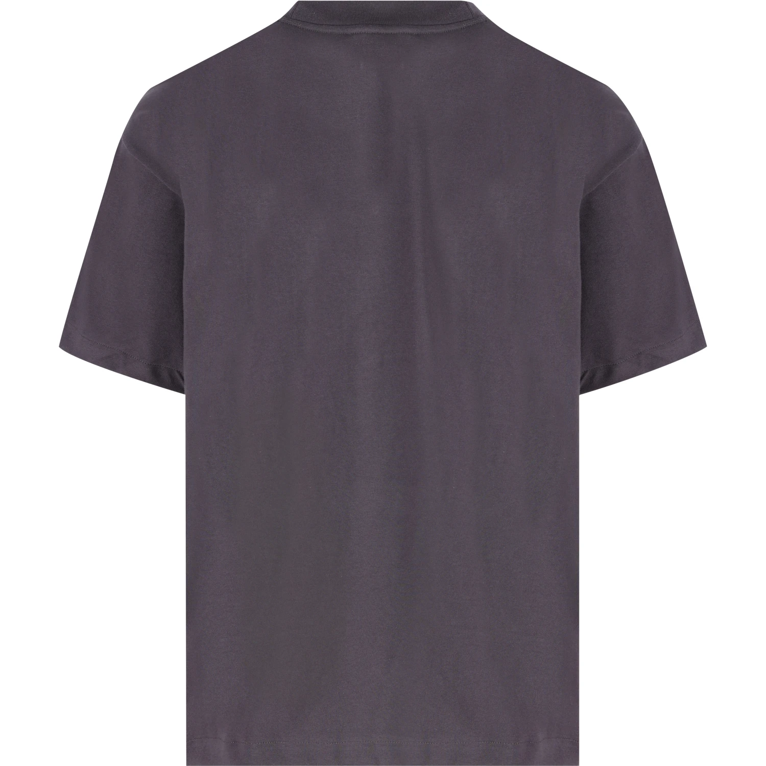 THE NORTH FACE T-shirts and Polos