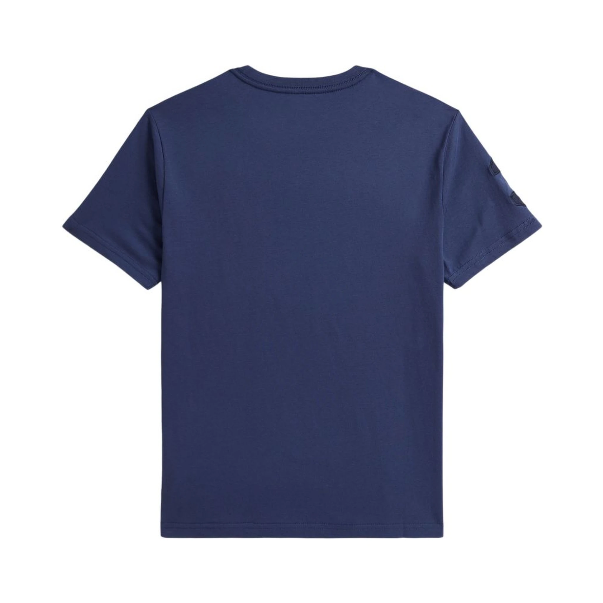 Polo Ralph Lauren T-shirts and Polos Blue