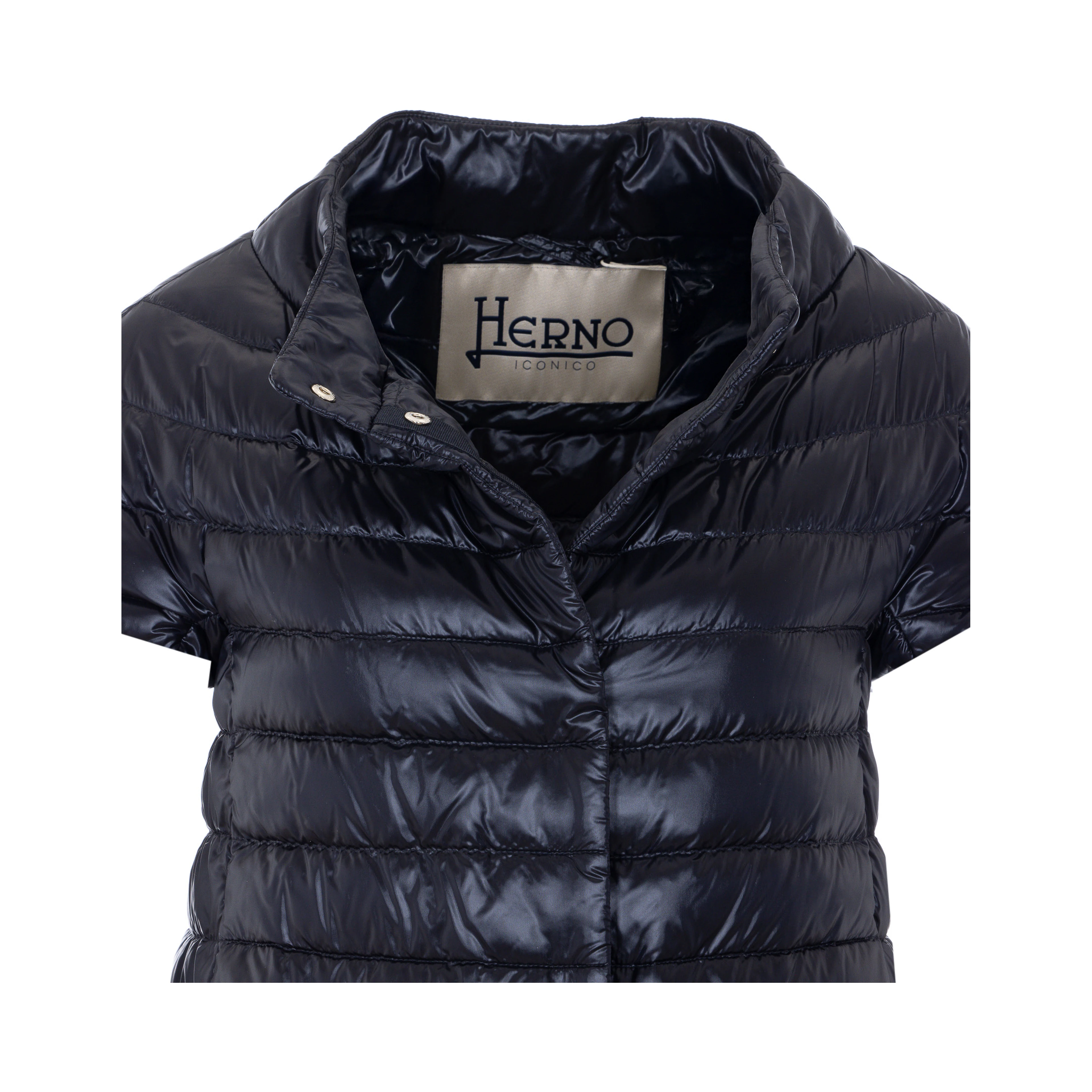 Herno Coats Black