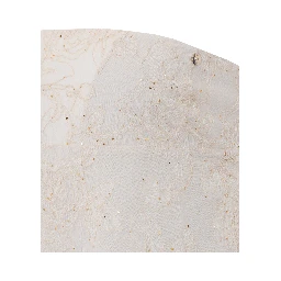 LIU JO  Beige