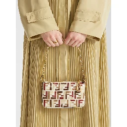 Fendi Bags.. MultiColour
