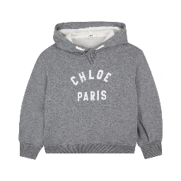 Chloè Sweaters Grey