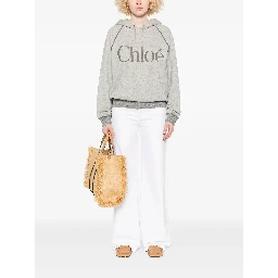 Chloè Sweaters Grey