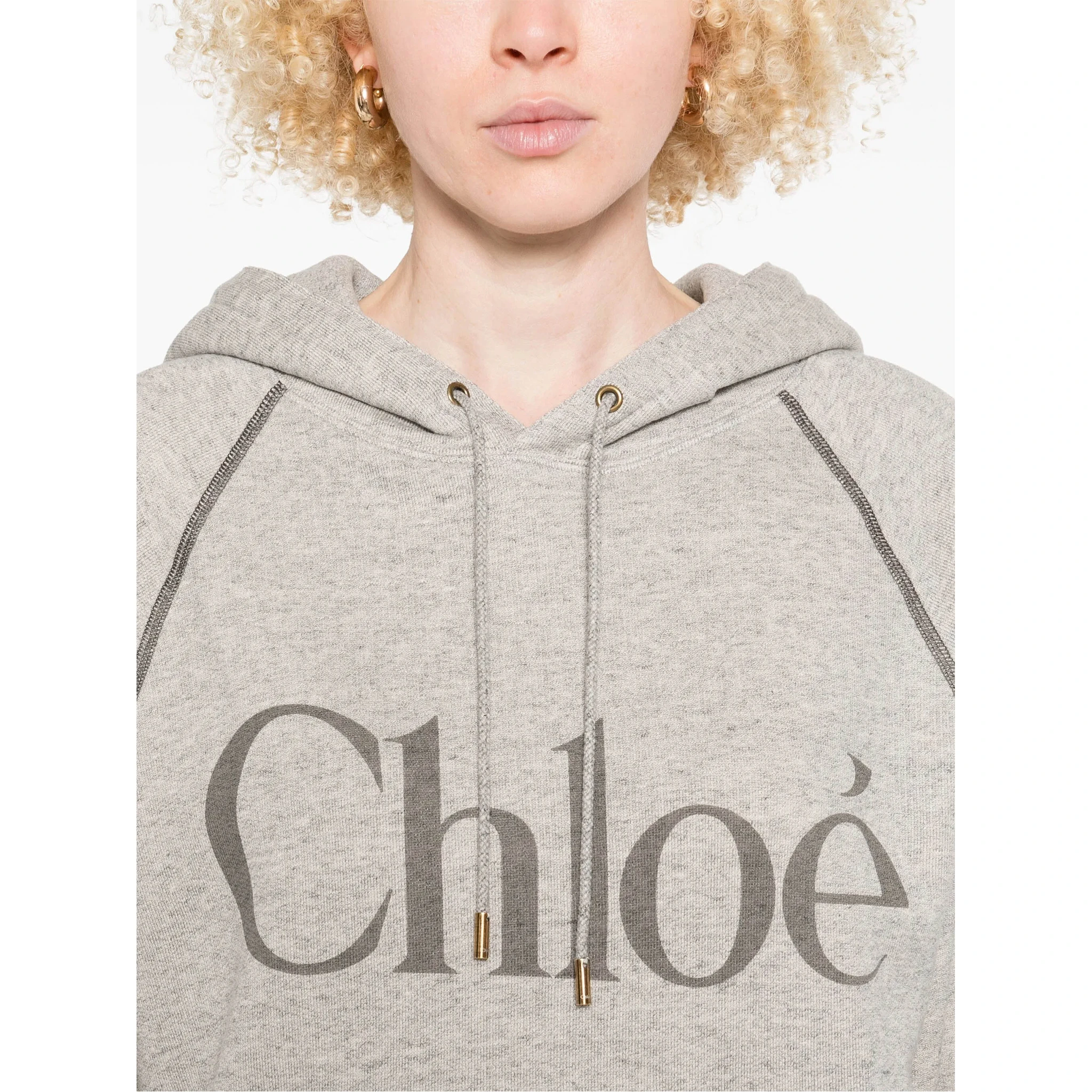 Chloè Sweaters Grey