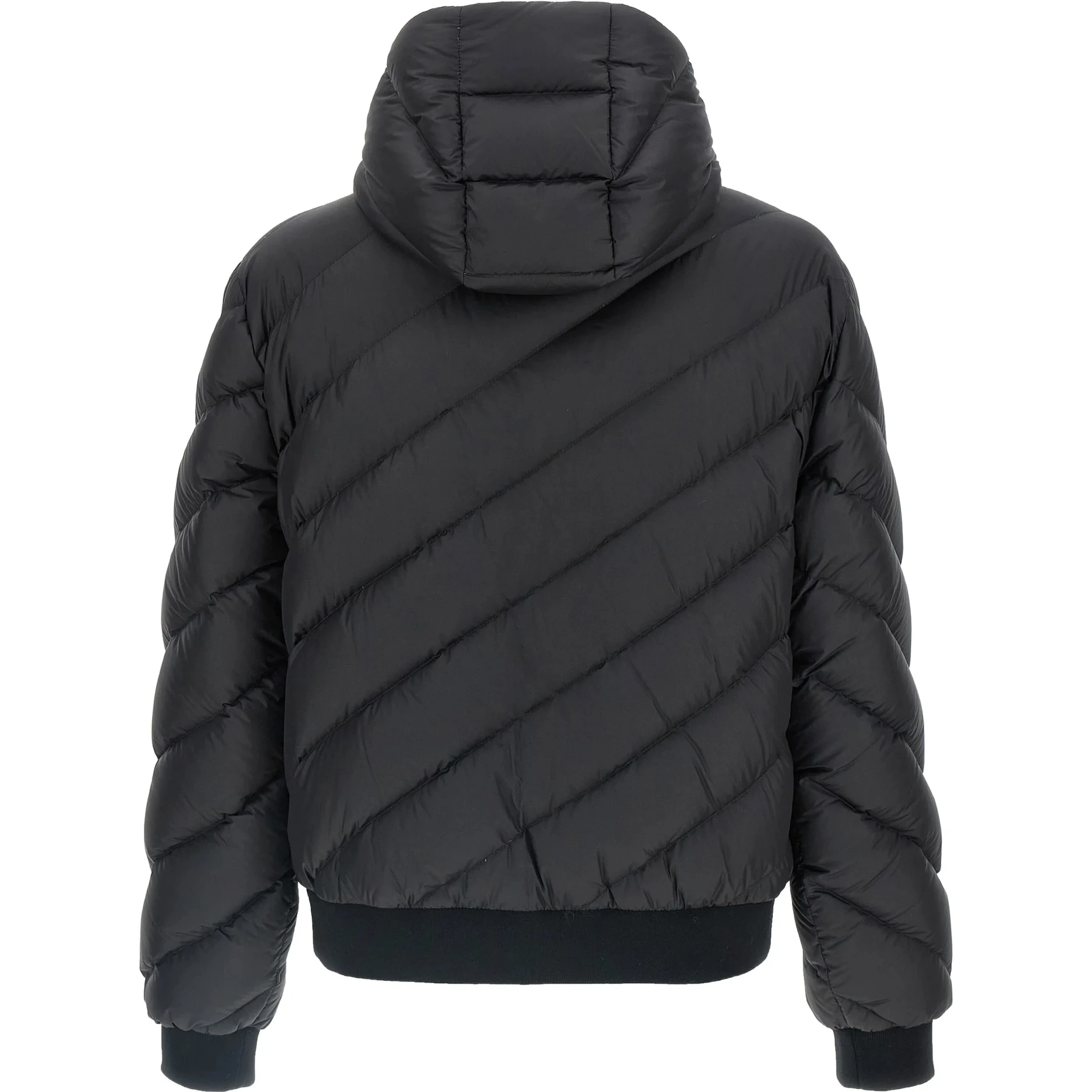 Fendi Coats Black