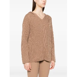 S Max Mara Sweaters Brown