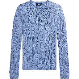 Polo Ralph Lauren Sweaters Blue