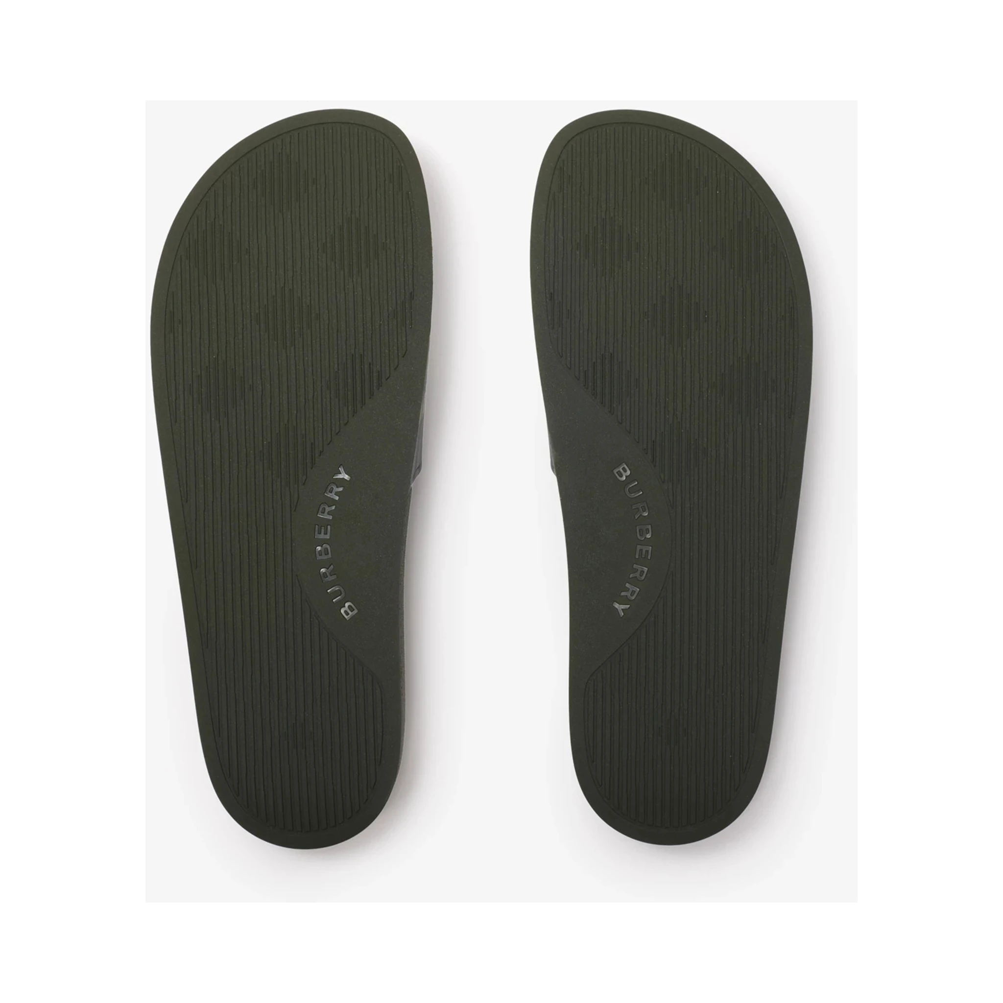 صندل بربري أخضر