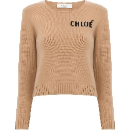 Chloè Sweaters Brown