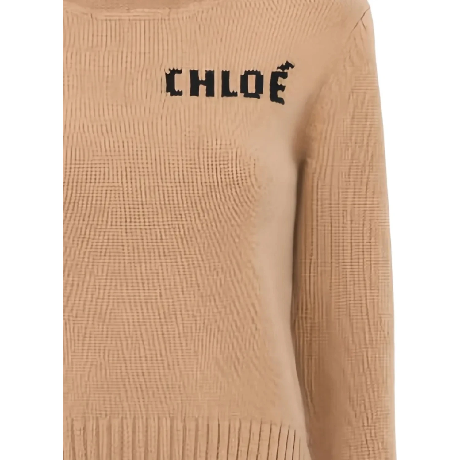 Chloè Sweaters Brown