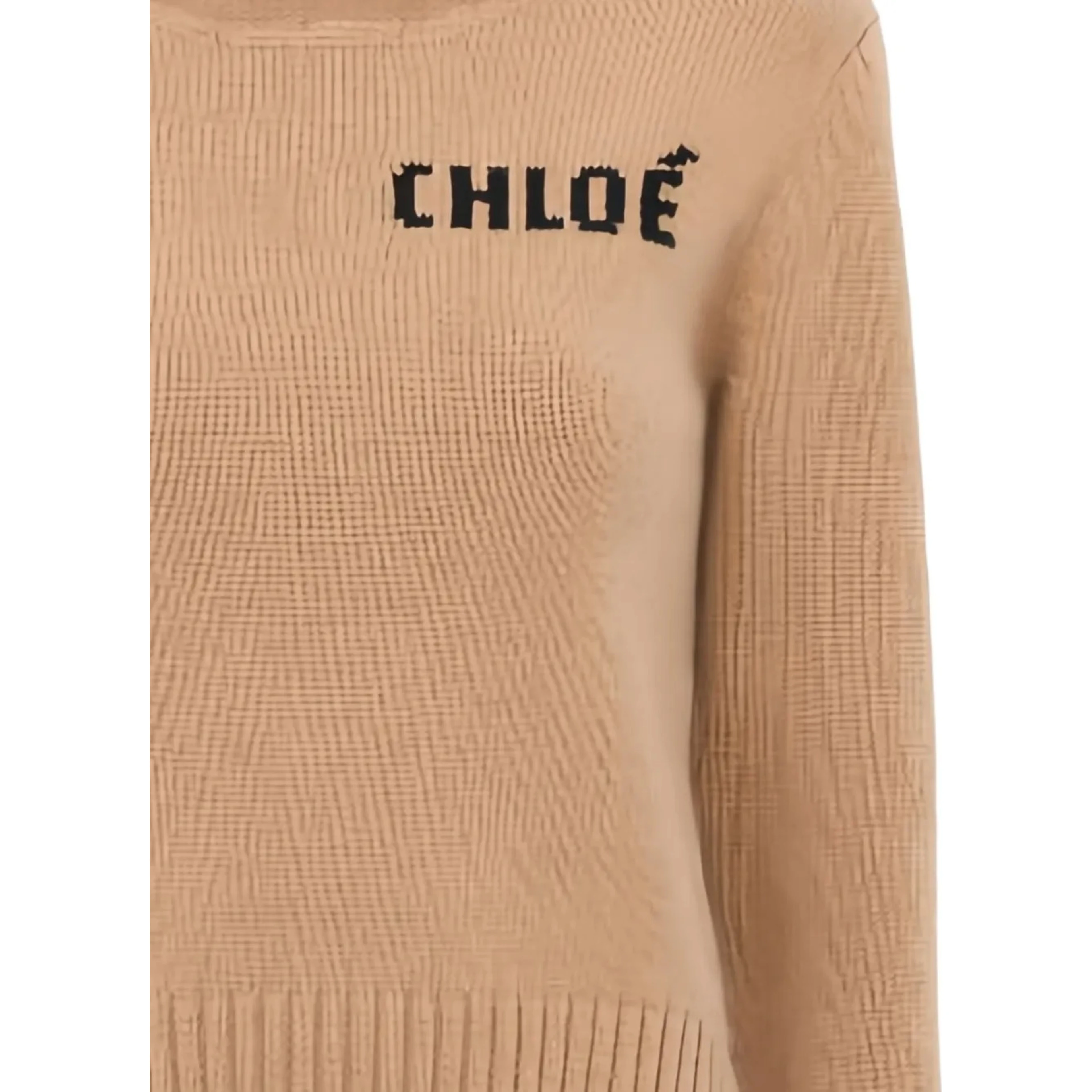 Chloè Sweaters Brown