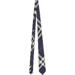 Burberry Ties Blue
