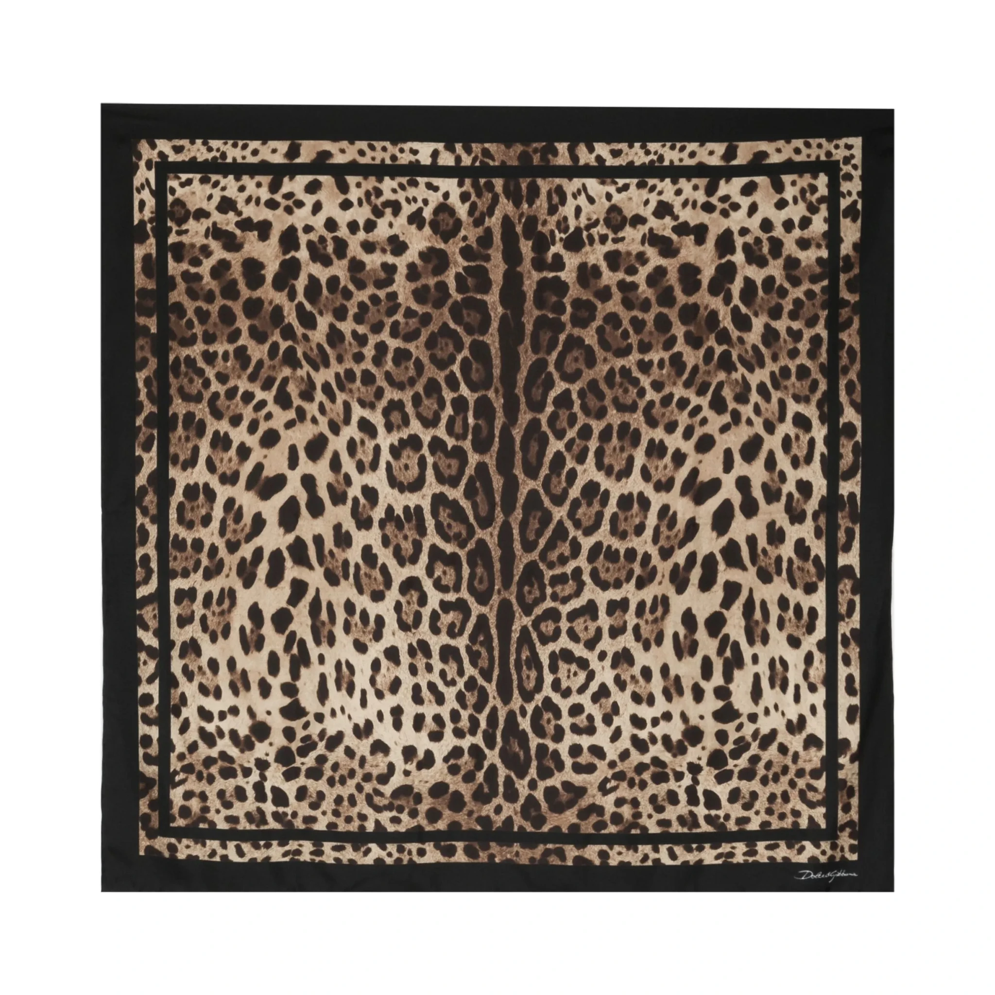 Dolce & Gabbana Scarfs Brown