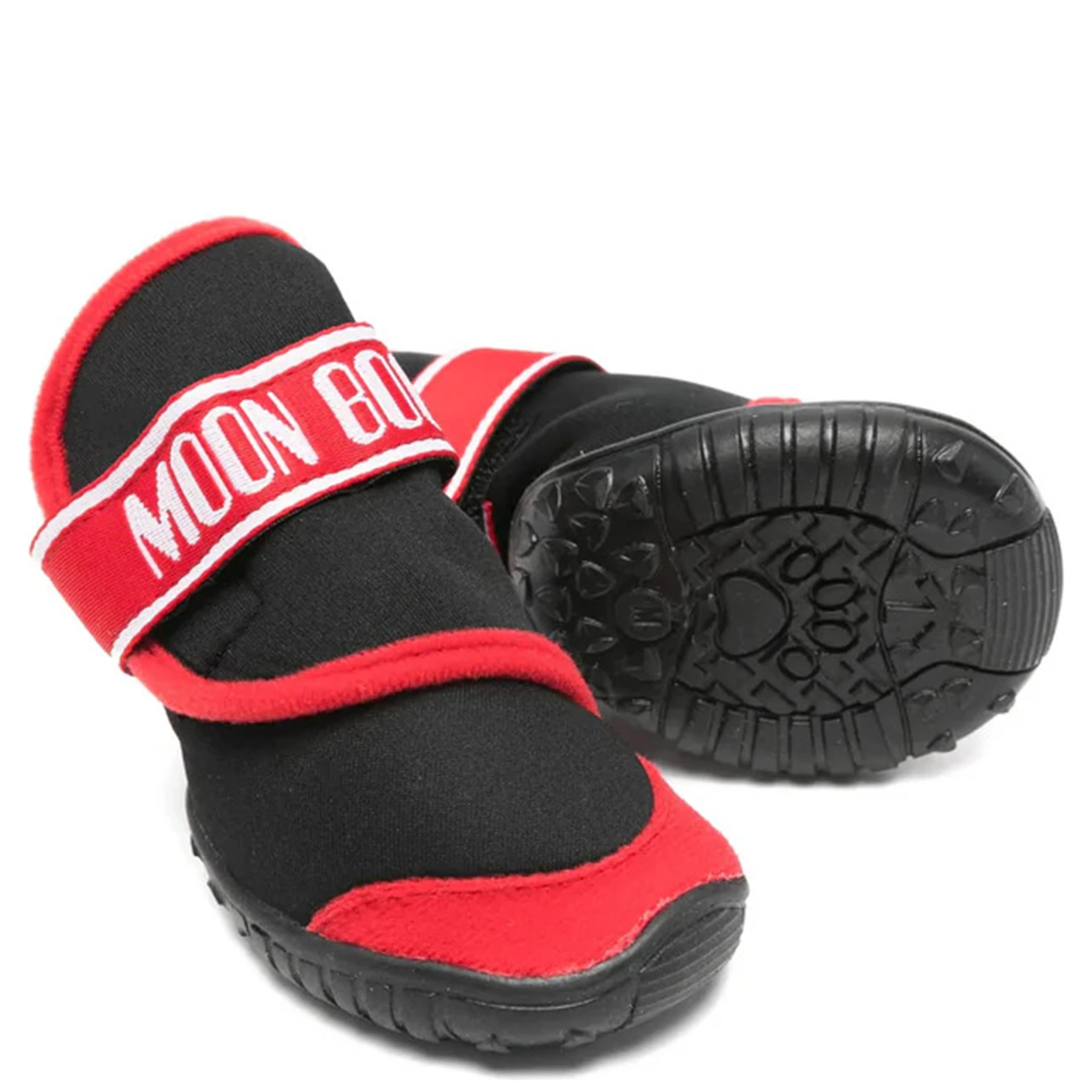 بولدو دوغ كوتور × مون بوت