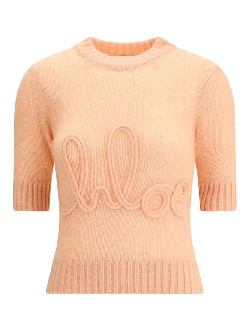 Orange Alpaca Vicugna Pacos Sweatshirt