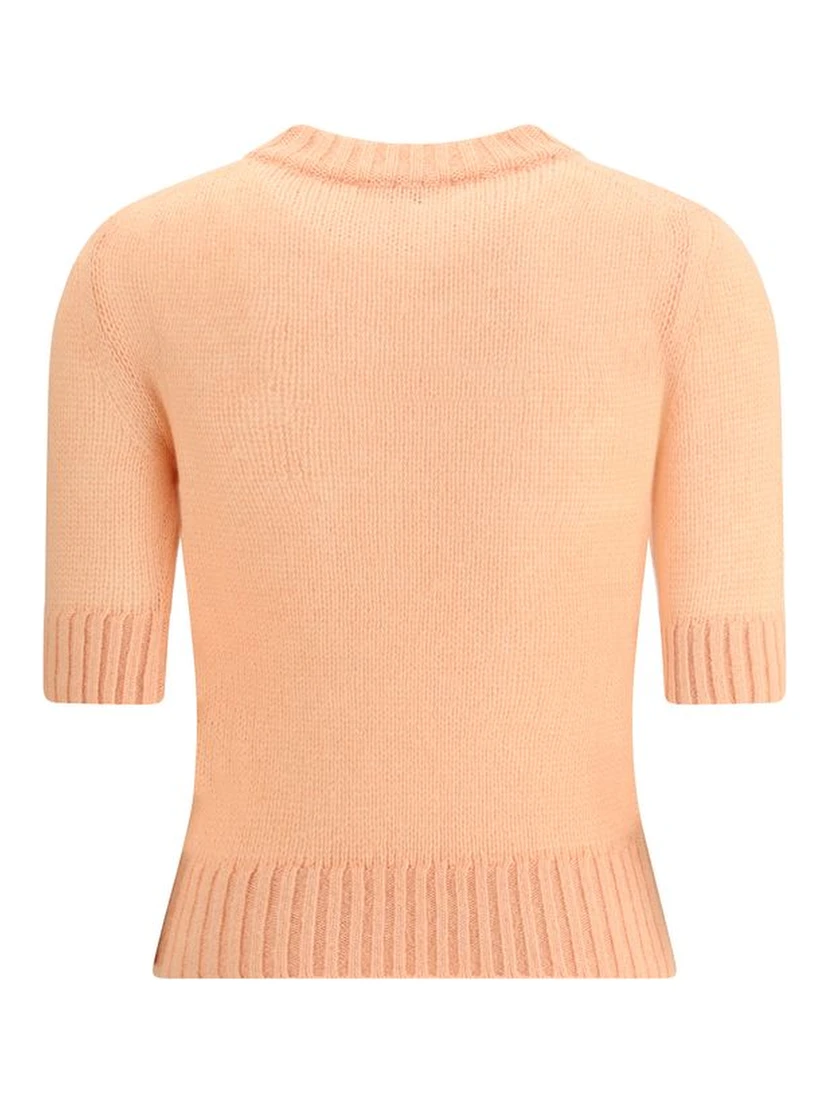 Orange Alpaca Vicugna Pacos Sweatshirt