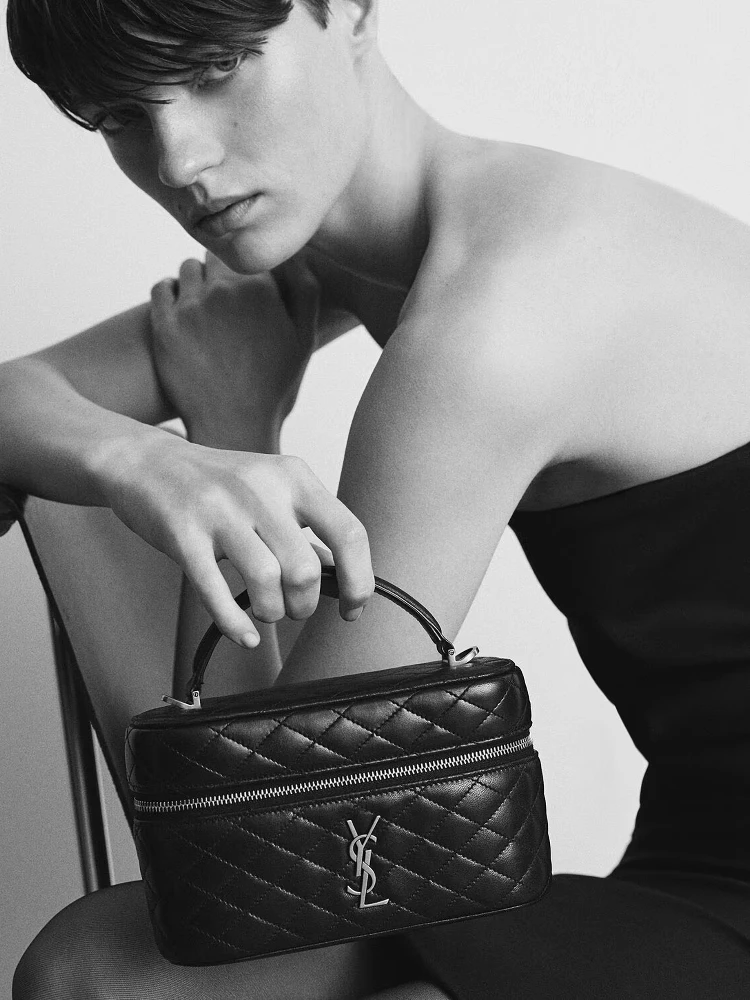 حقيبة سان لوران غابي فانيتي alternative