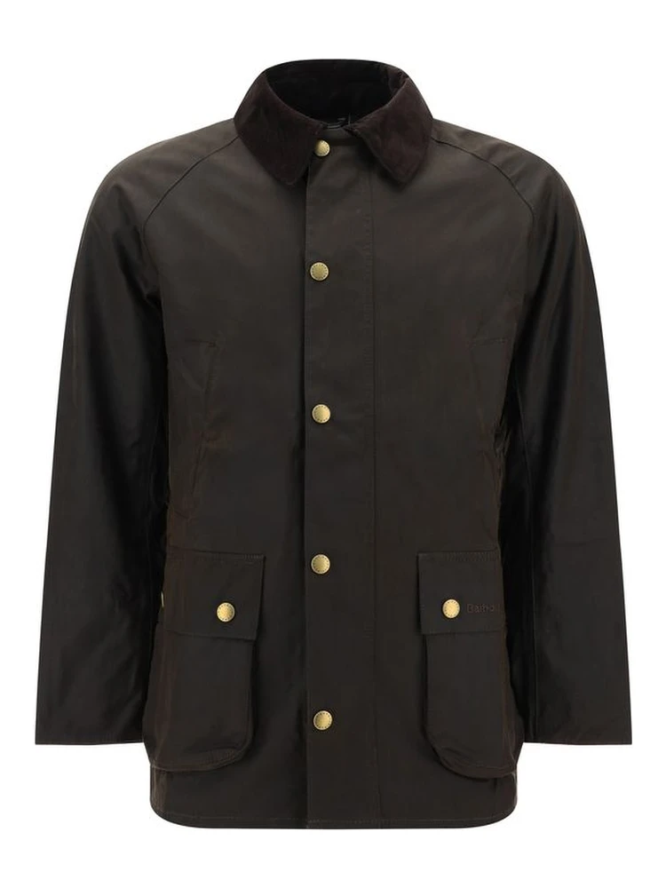 Bicolor Cotton Coat