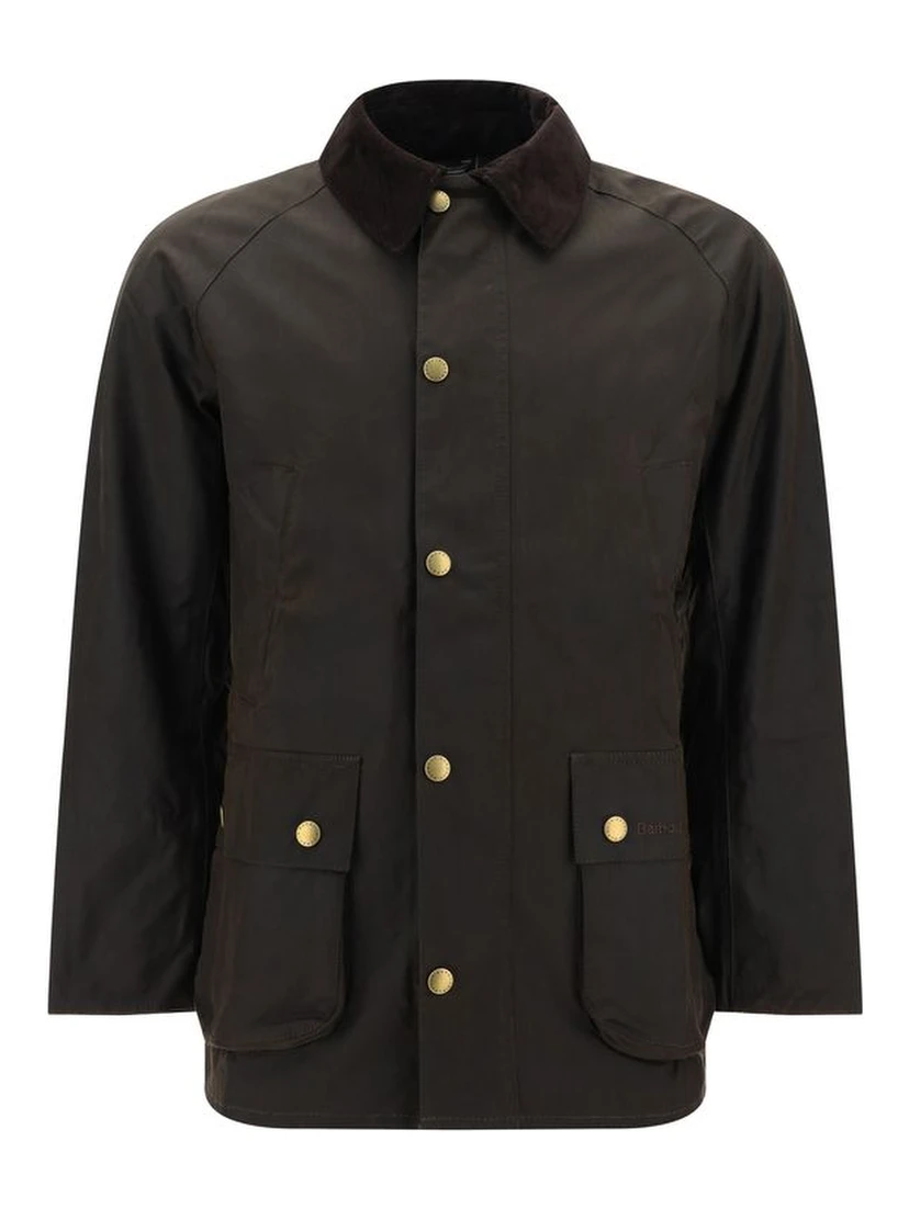 Bicolor Cotton Coat