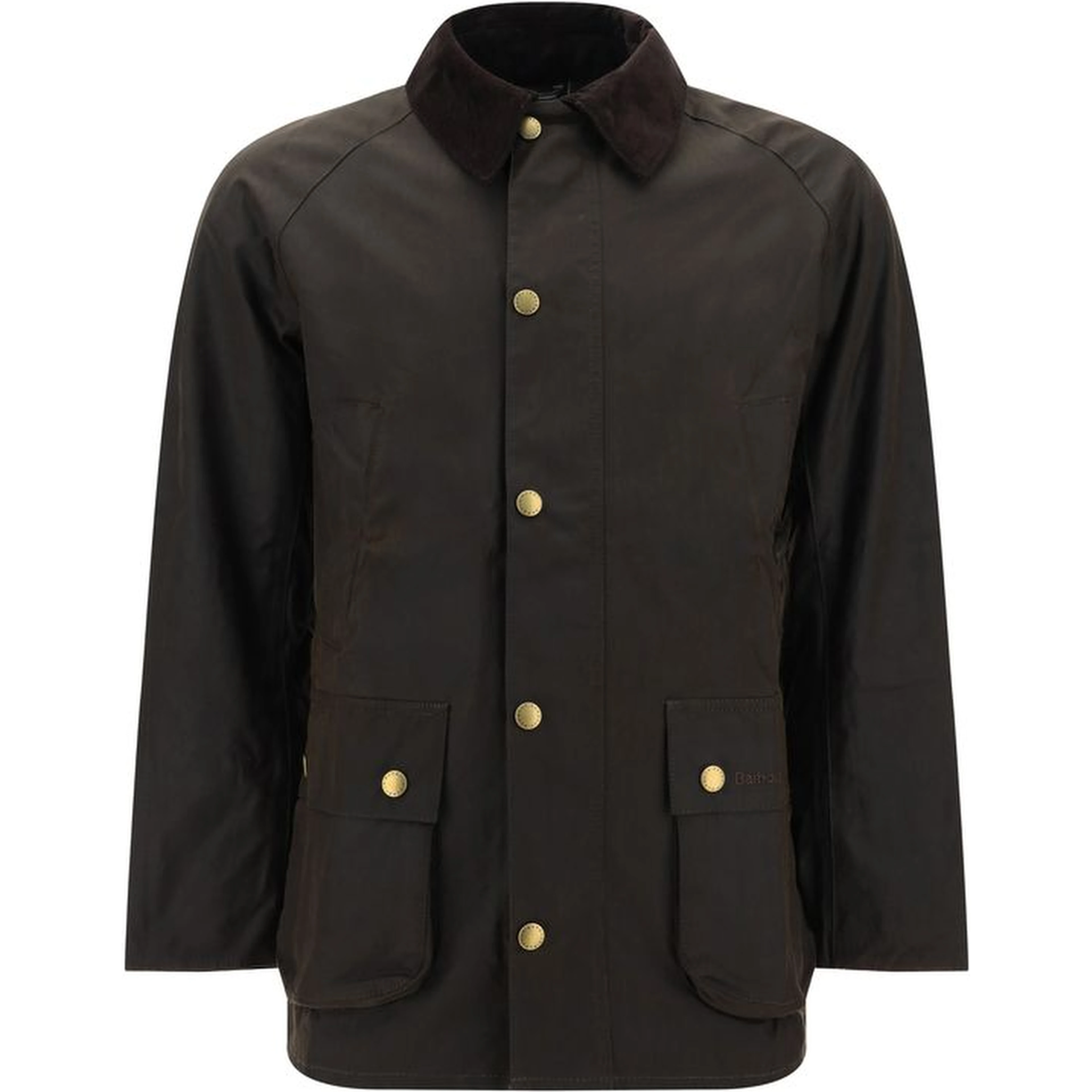 Bicolor Cotton Coat