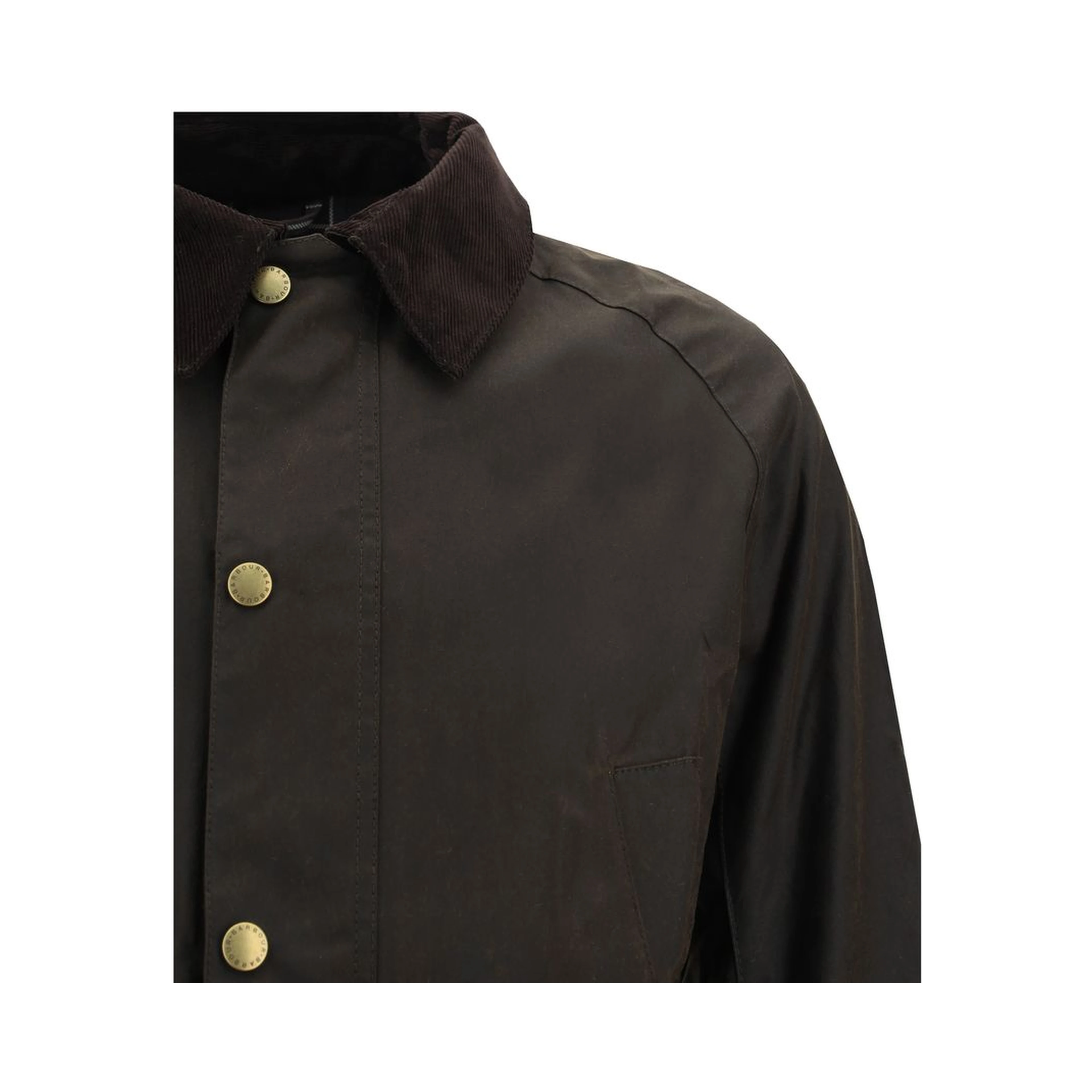 Bicolor Cotton Coat
