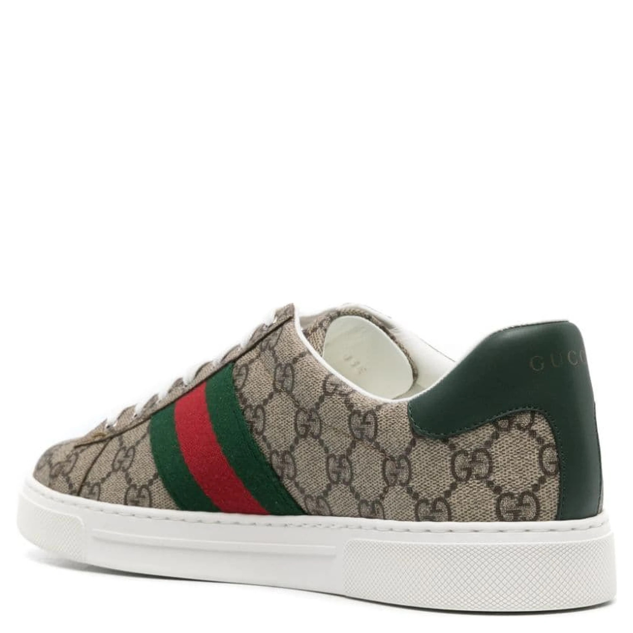 "Gucci ACE" sneakers