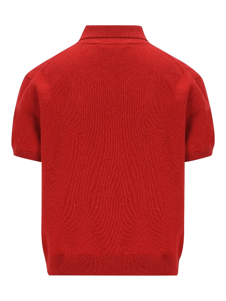 كنزات لورو بيانا alternative