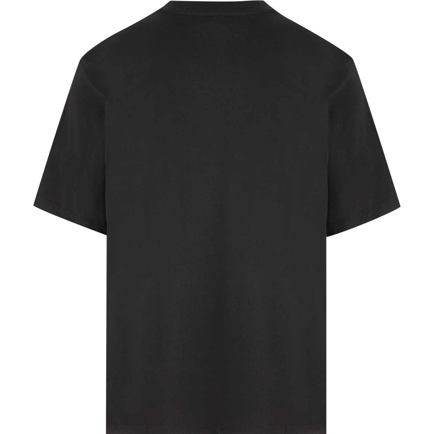 THE NORTH FACE T-shirts and Polos Black