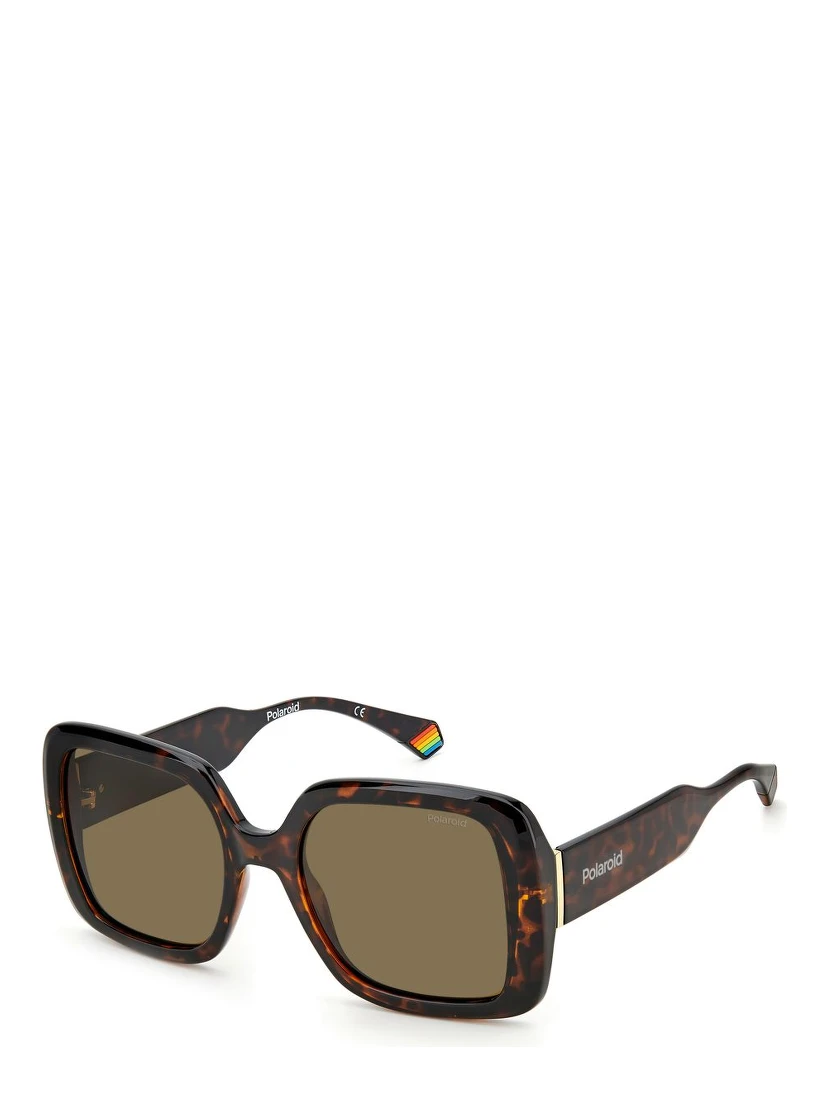 Brown Resin Sunglasses