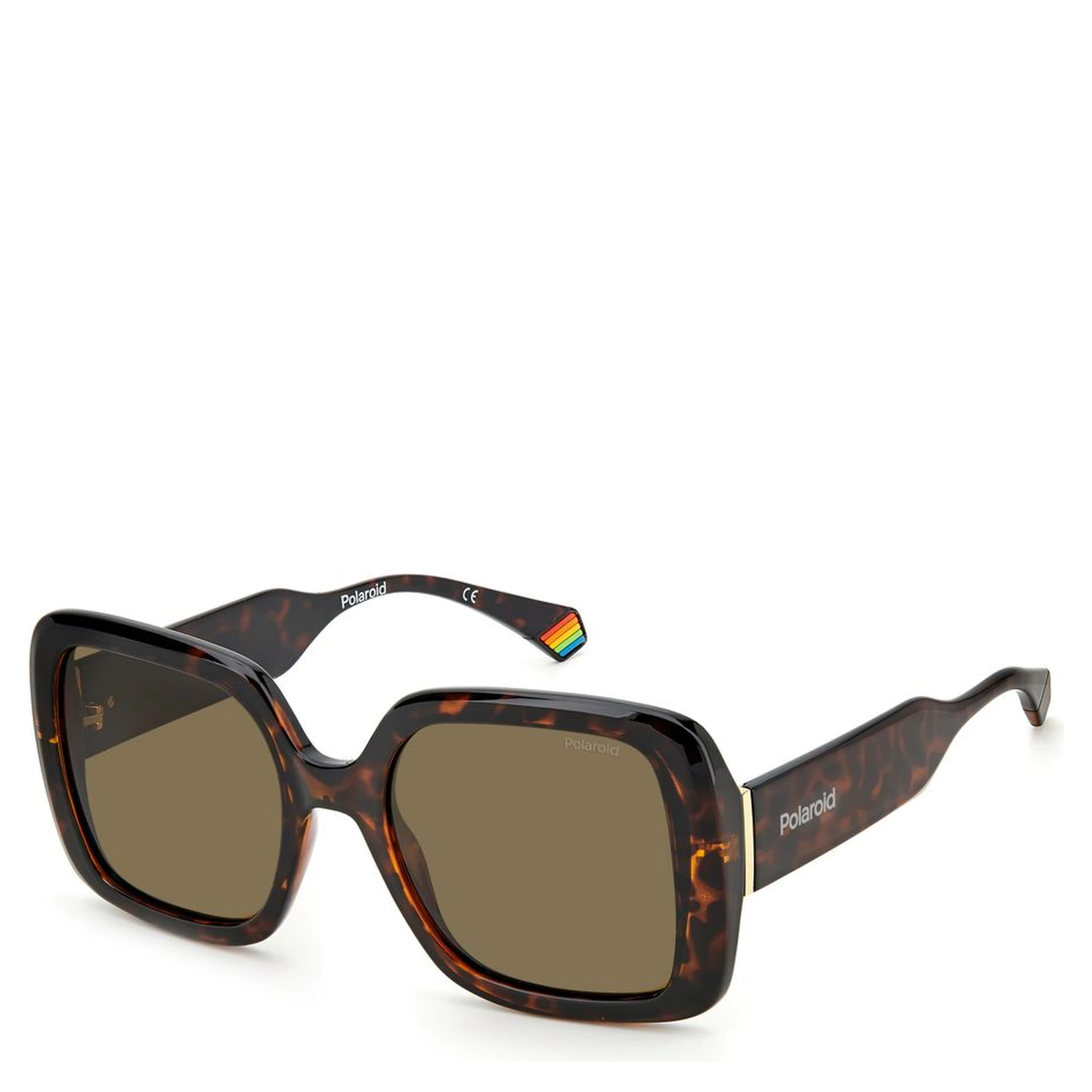 Brown Resin Sunglasses