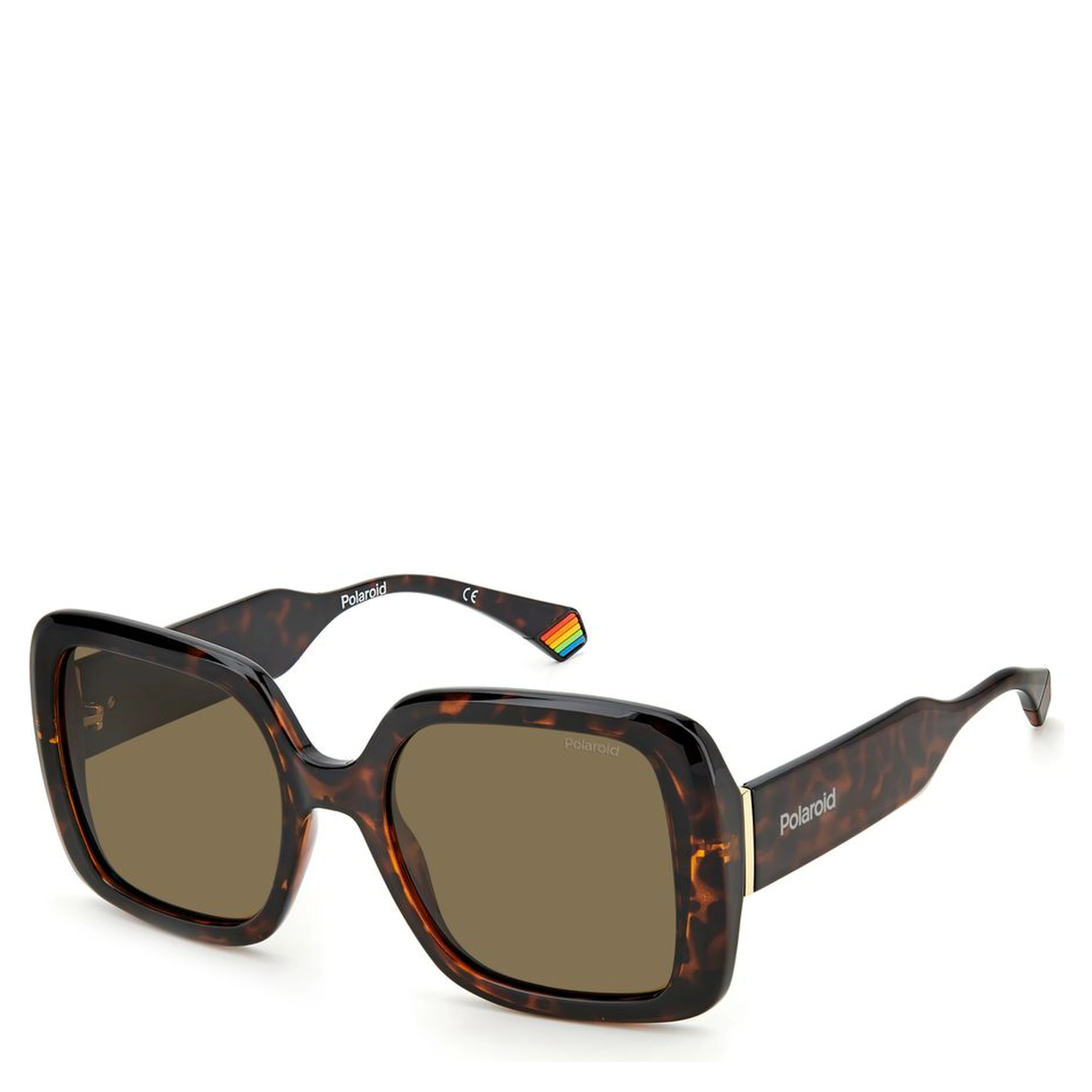 Brown Resin Sunglasses