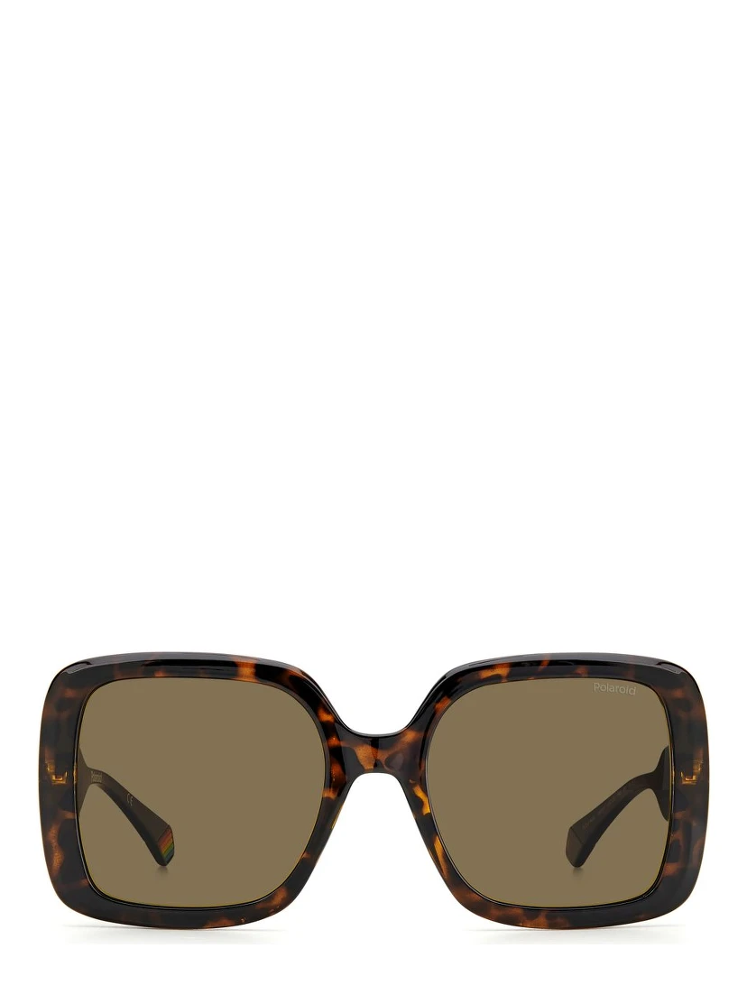 Brown Resin Sunglasses