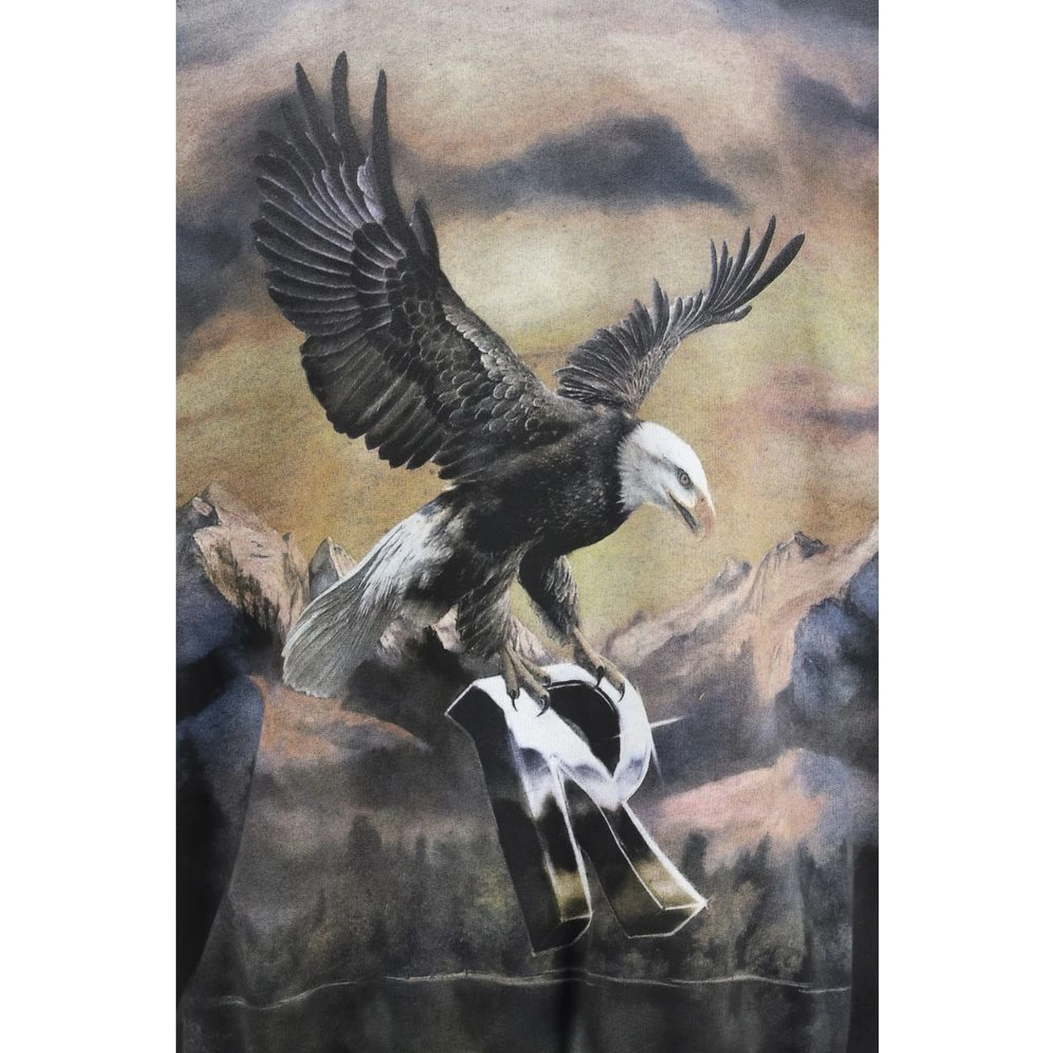 سويت شيرت قطني رمادي