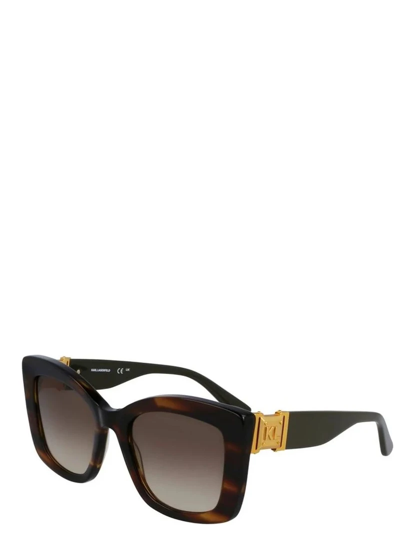 Brown Acetate Sunglasses