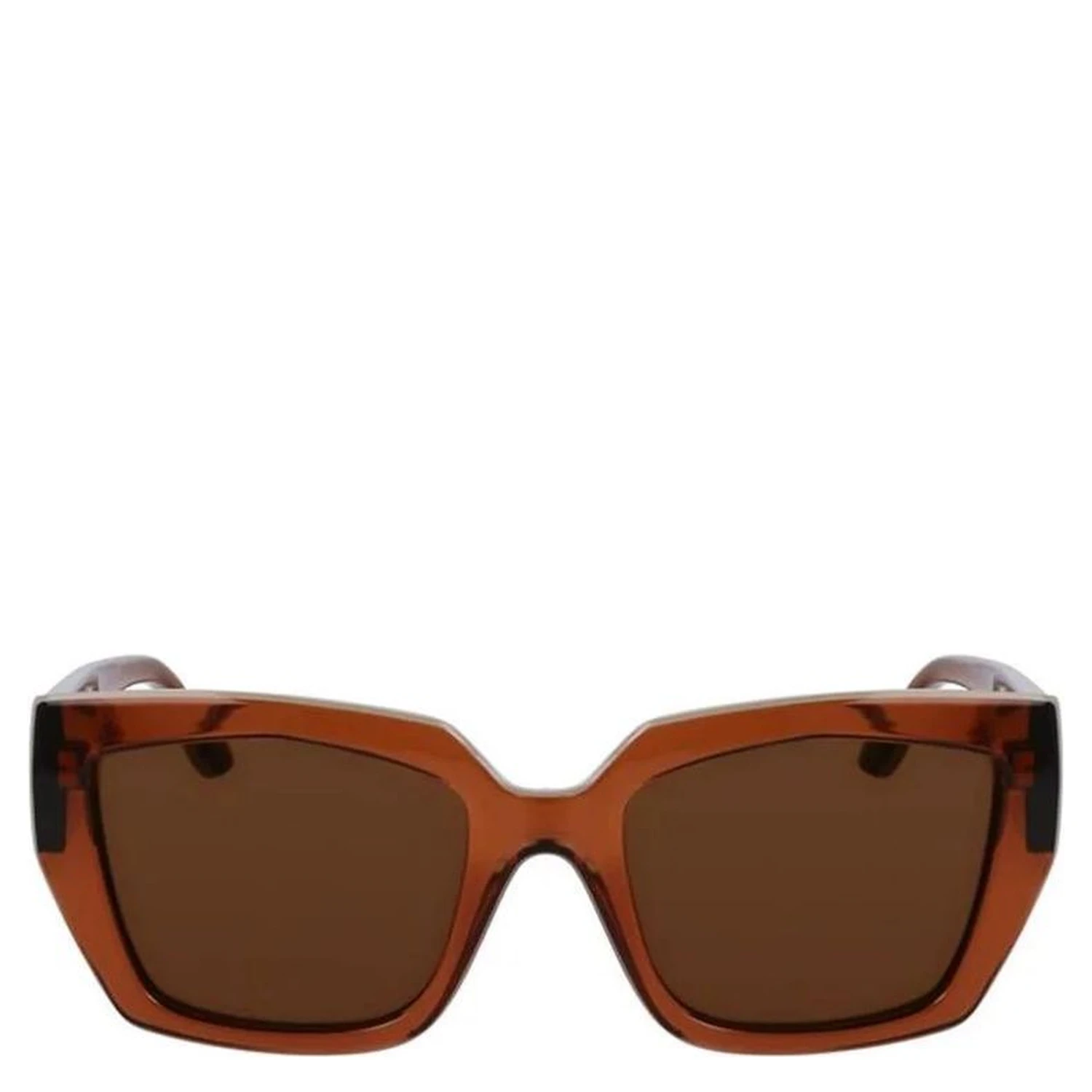 Brown Nylon Sunglasses