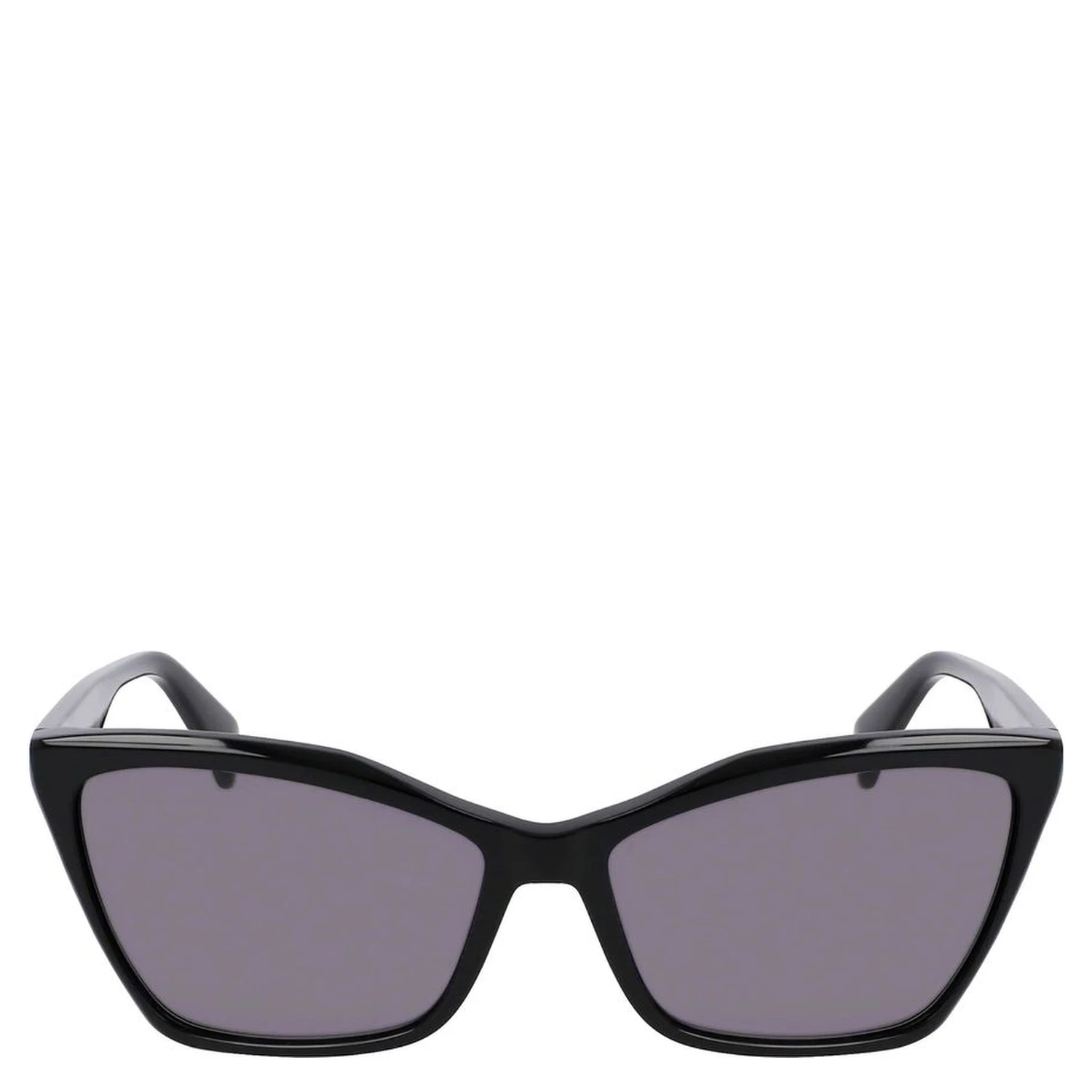 Black Acetate Sunglasses