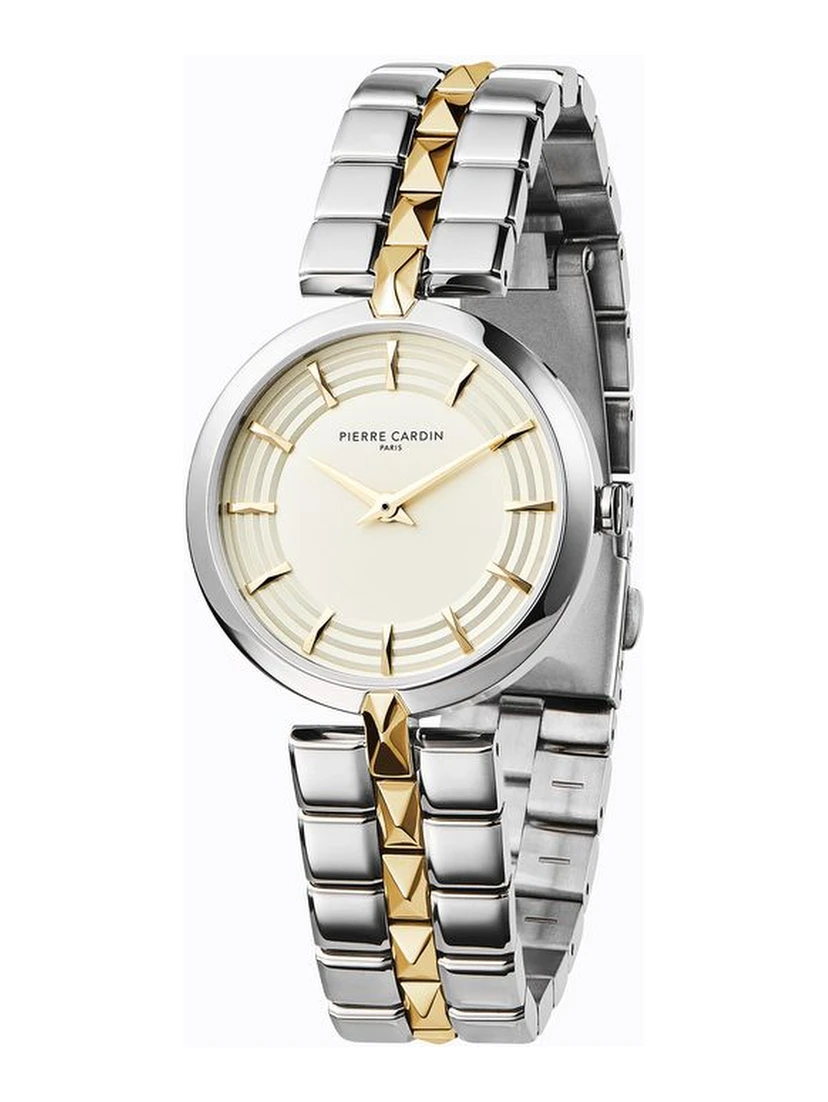 Gray Stainless Steel Dress Watch